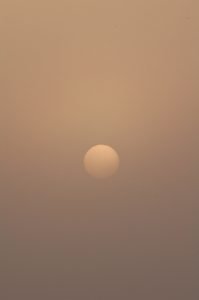 Sonne steigt aus dem Morgennebel