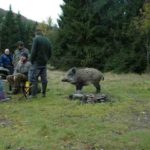 Vereinsaktivitaeten - Treffen am Bach mit einer Wildsau