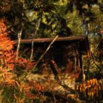 Vereinsaktivitaeten - Kote vor dem Vereinshaus im Herbst