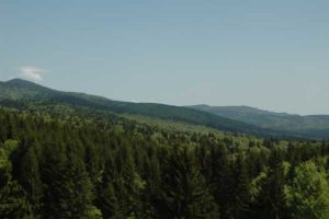 Naturgeister-intensiv-2017_ Blick über bewaldete Hügel bis zum Horizont