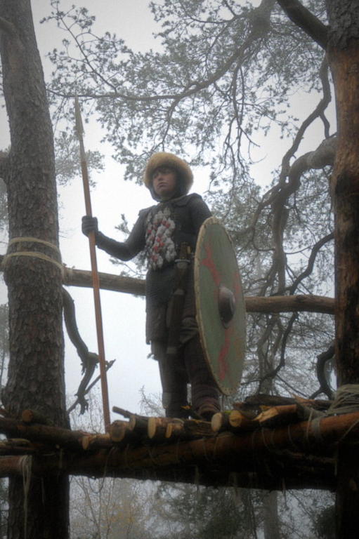 Schamanismus e.V. - Krieger mit Schild und Speer auf Baumpodest