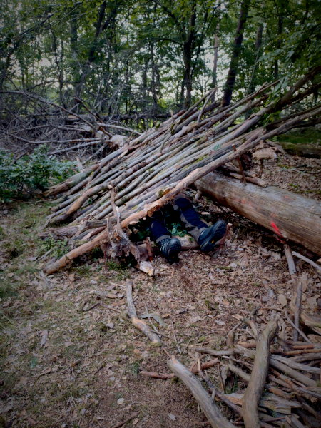 Einfacher Unterstand aus Holz