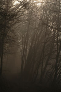 Natur