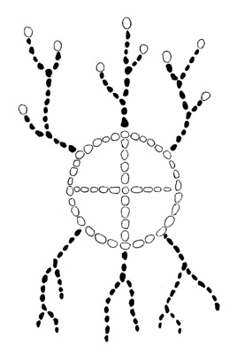 Der gemeinnützige Verein